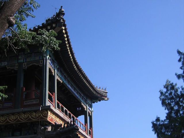 A Timeless Oasis: Where Nature and History Embrace