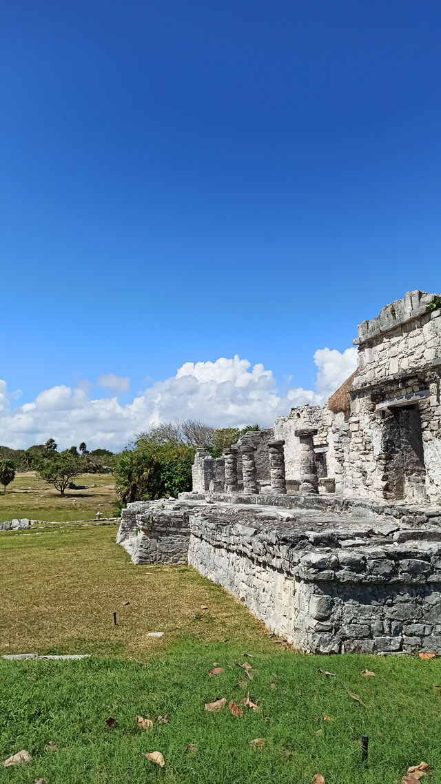 🌴 Tulum – Early Morning or Late Afternoon in Paradise? 🏝️✨