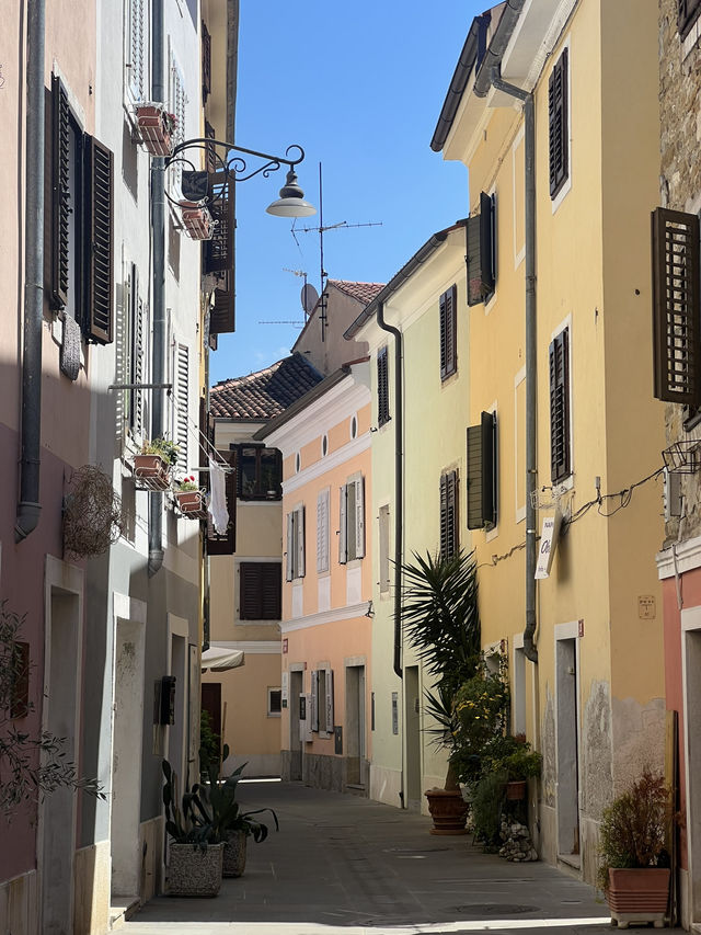 🇸🇮 斯洛維尼亞伊佐拉（Izola）🐚