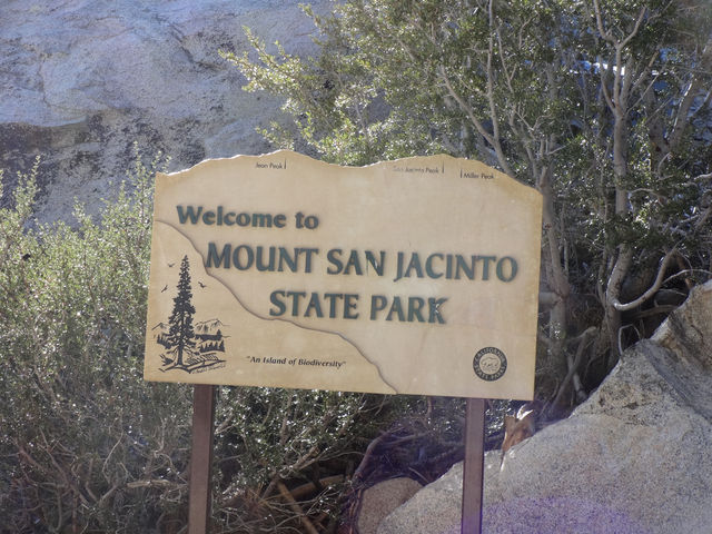 Mount San Jacinto. A breath of fresh air in California’s desert 