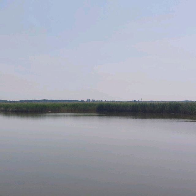 Beautiful nature around Lake Venice