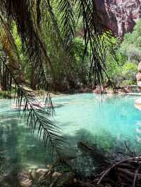 🏞Havasu falls - a hidden dessert paradise