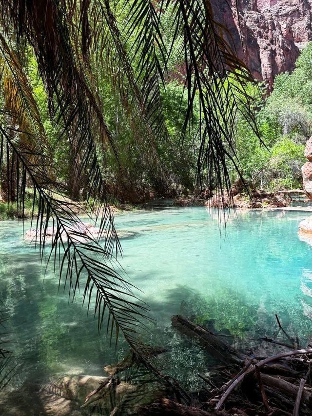 🏞Havasu falls - a hidden dessert paradise