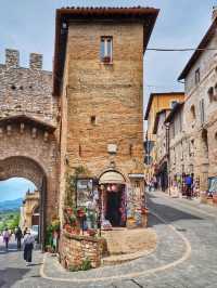 Assisi: Hilltop Harmony in the Heart of Umbria