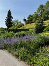 Summer dreams in bloom at Insel Mainau 