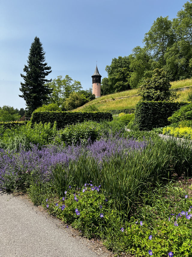 Summer dreams in bloom at Insel Mainau 