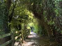 Hidden gems in Cambridge