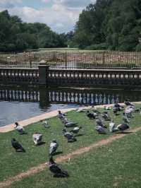 Rebirth and Ruins – A Day in Coventry’s Past and Future