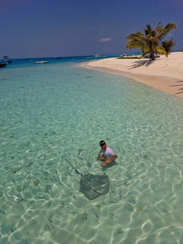 Swimming with Manta Rays in Felidhoo: A Magical Maldives Experience