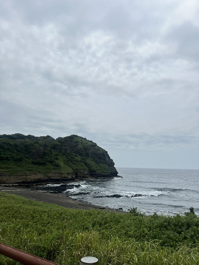 🌊 Western Jeju Day Trip: Nature, Culture & Matcha ☁️