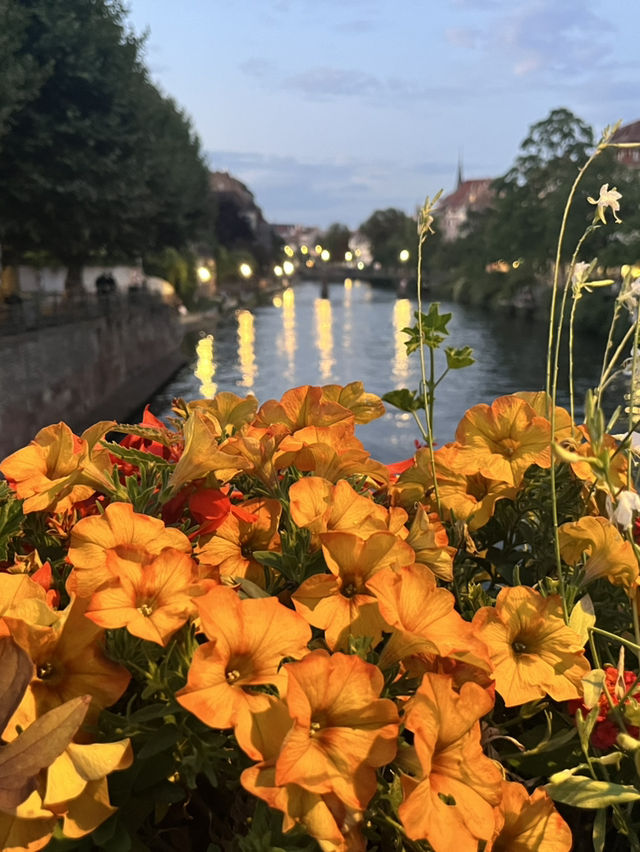 Breathtaking experience in the Capital of Europe, Strasbourg 