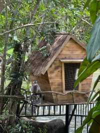 Янода Тропический парк (Хайнань)