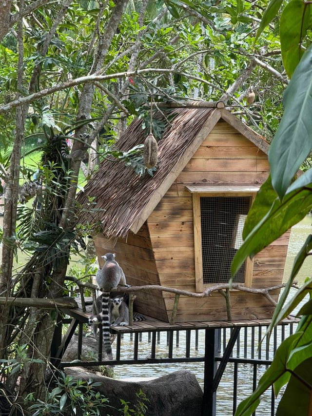 Янода Тропический парк (Хайнань) Янода Тропический парк (Хайнань)