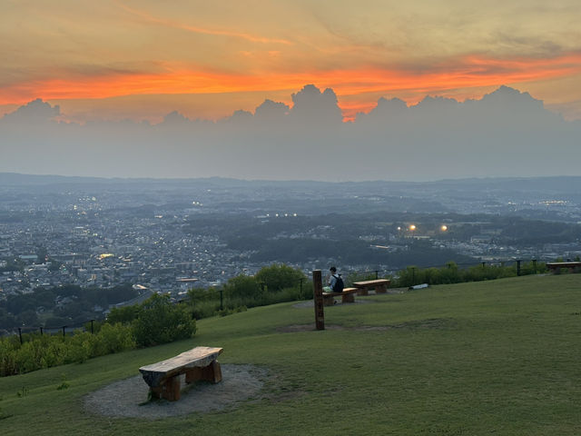 🦌 Nara’s Peaceful Charm – Deer & Temples