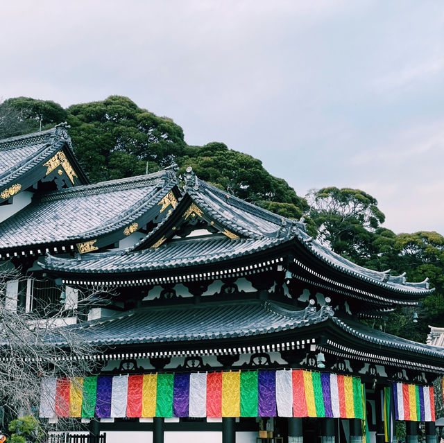 Escape Tokyo: Kamakura in a Day