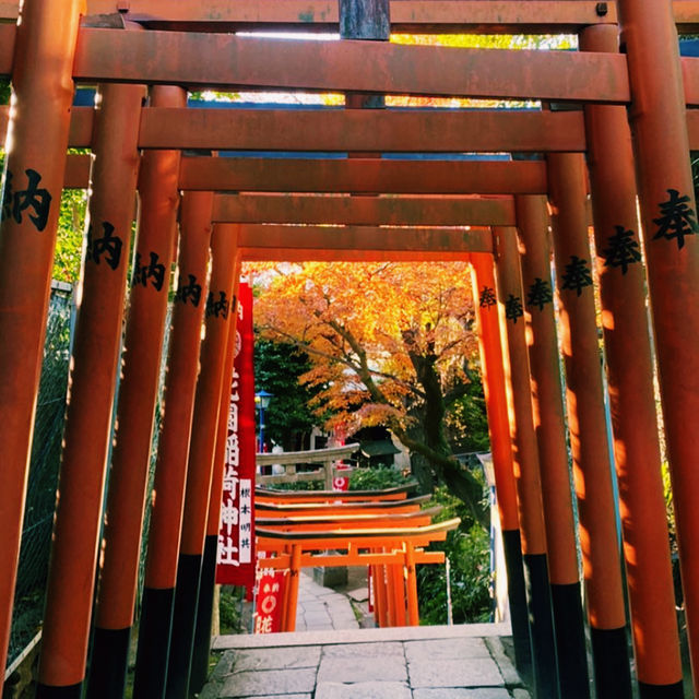 Tokyo Temples: Serenity Amid the City Buzz