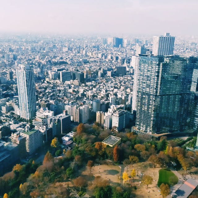 Tokyo Like a Local: Everyday Life in the Big City