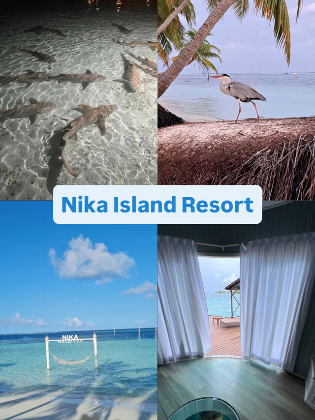 Nika Island Resort: live on the ocean or in the garden what will you choose?
