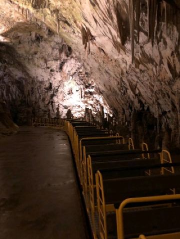 สิ่งมหัศจรรย์ที่ซ่อนเร้น🌟