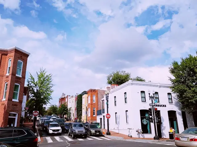 Beyond the Blossoms: Discover the Soul of DC this Spring 🌸🏛️ 