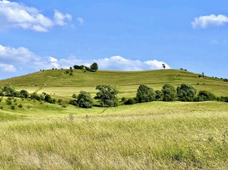 Chalk Escarpments and Red Kite Skies. The Panoramic Splendor of Pegsdon Hills