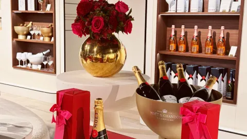 Moët & Chandon Tours and Tastings. — traveler post in Epernay