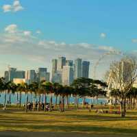 Park with stunning view and sunset. Shenzhen, Baoan 