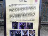 破壊し尽くされた歴史的建造物と噴水、圓明園