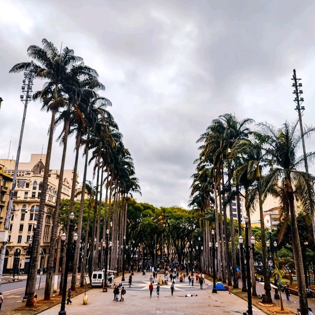 Exploring the city of contrasts - São Paulo 