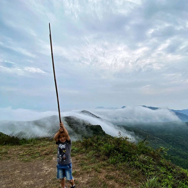 麥理浩徑第四段 雲山霧海 麥理浩徑第四段 雲山霧海