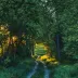 BENNETT MCKINNEY