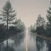 C@l3b K.ng