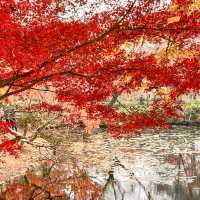 蘇州の紅葉の名所といえば「天平山」