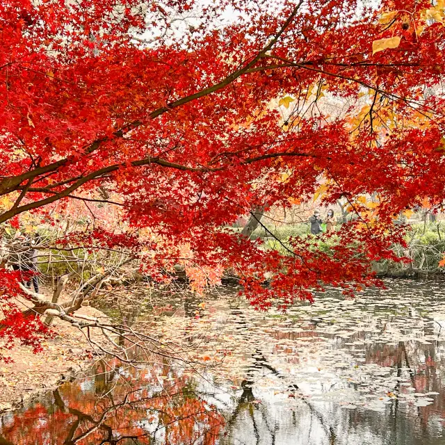 蘇州の紅葉の名所といえば「天平山」