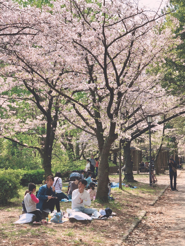 If there were no beautiful cherry blossoms in the world, where could spring hearts find leisure?