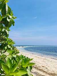 Fun and inexpensive Bohol Island in the Philippines