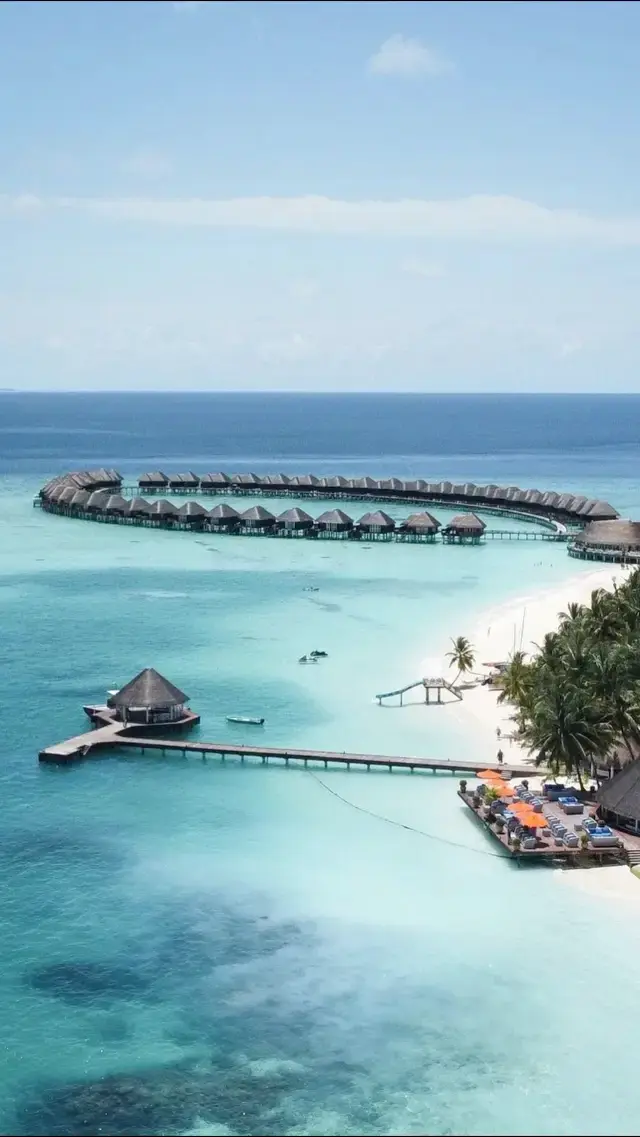 what can you get for FREE in MALDIVES??🏖️