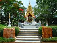 🚫🌍 Unveiling the Secrets of Pattaya! Hidden