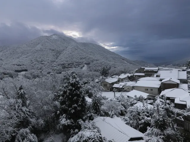 🌸 Exploring Hakone - A Once-in-a-Lifetime Adventure! 🗻