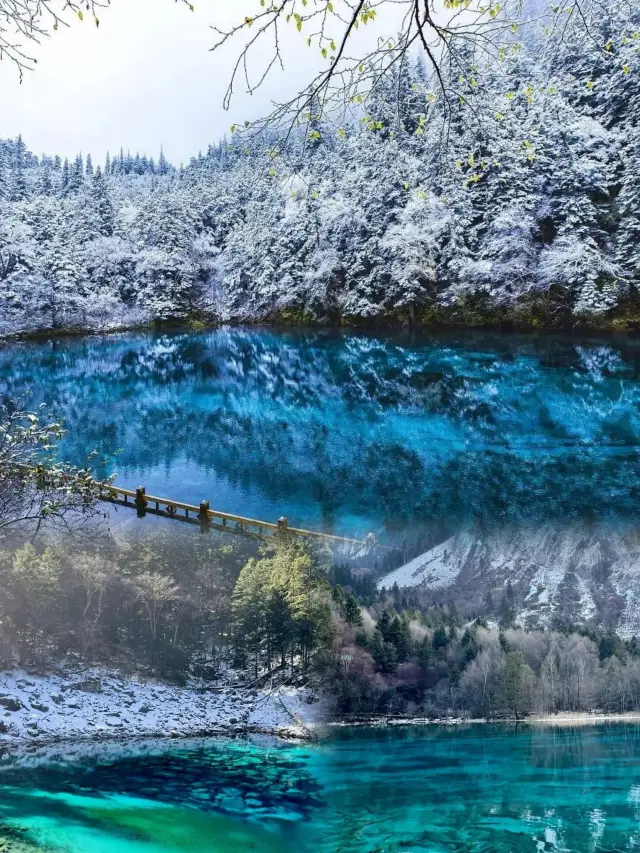冬季九寨溝之旅：大自然的彩色童話世界！
