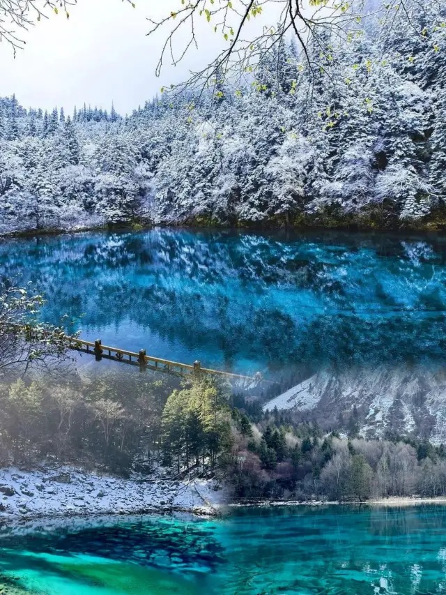 冬季の九寨溝旅行：自然のカラフルな童話の世界！