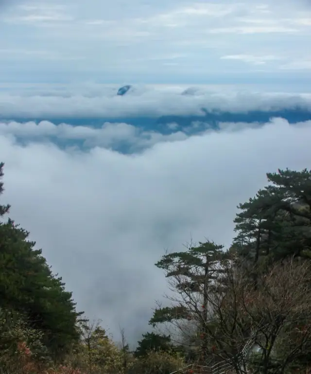 雲端飛行|總要在秋天去爬一次山吧