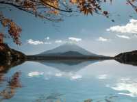 Unveiling Hakone's Natural Elegance: A Majestic Odyssey! 🌲✨