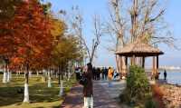 超治癒！快來打卡邛海濕地公園這些高顏值冬日秋景