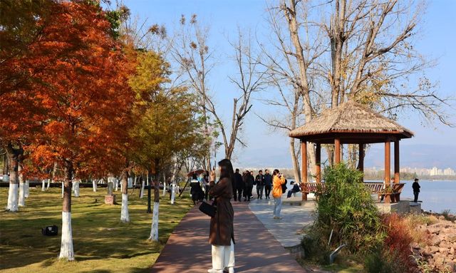 超治癒！快來打卡邛海濕地公園這些高顏值冬日秋景