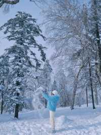 這個冬天總要去趟北國冰城看雪吧！