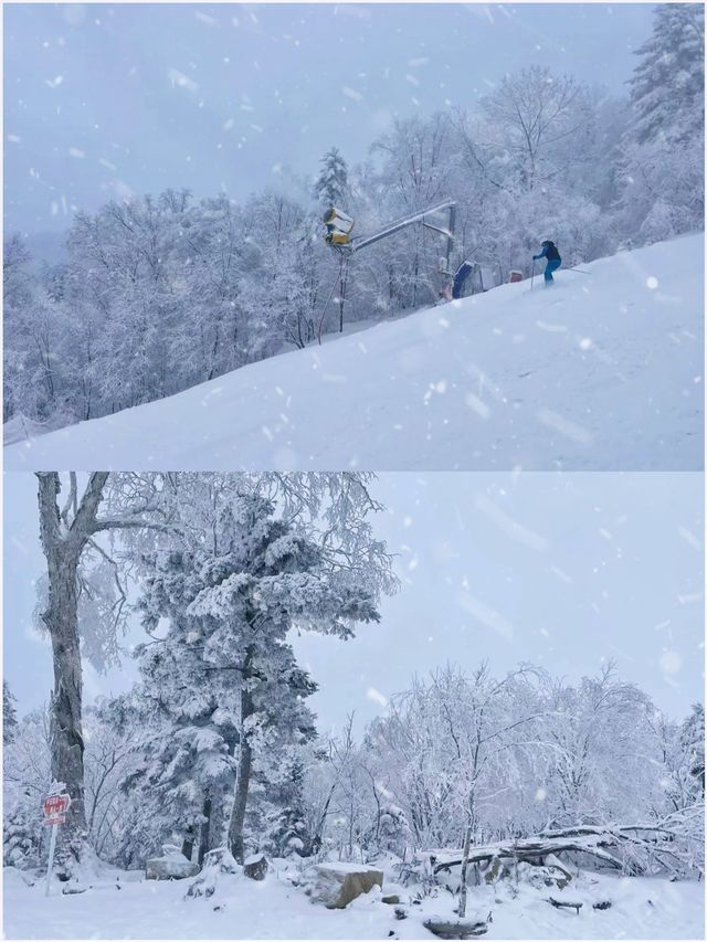 大型光影舞台滑雪體驗機微縮冰雪景觀