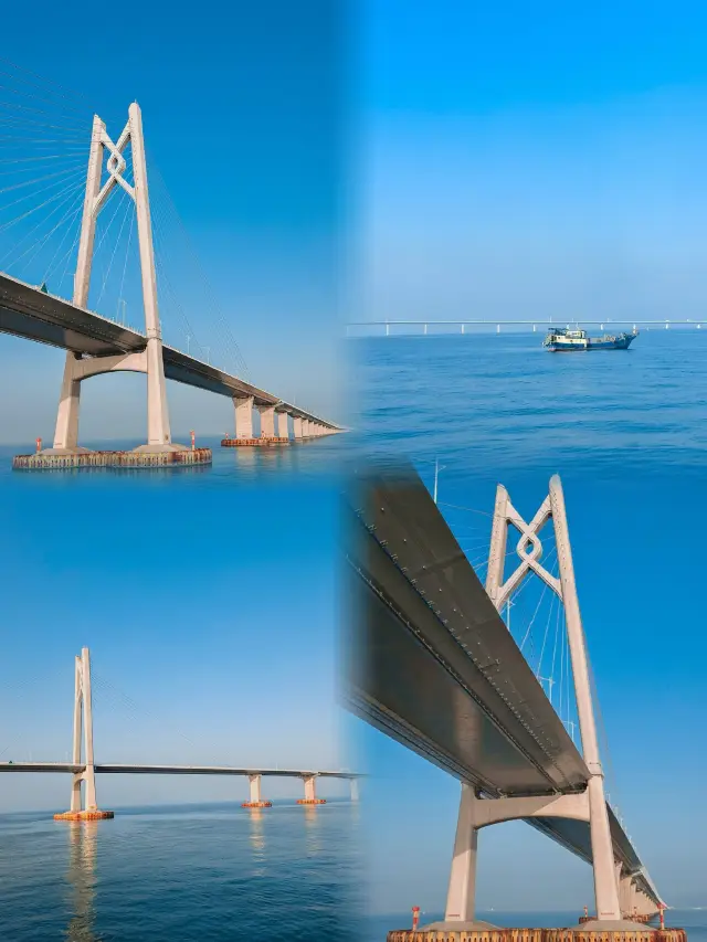 Meet the 'Bridge' at Hong Kong-Zhuhai-Macao, encounter the blue dolphin!