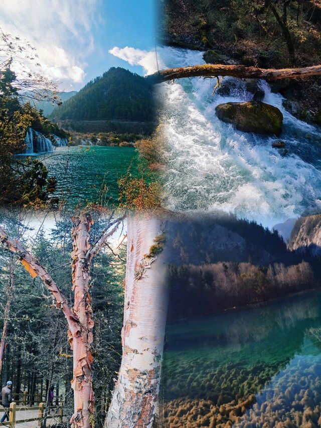 12-2月旅遊季｜6個最適合去的溫暖城市