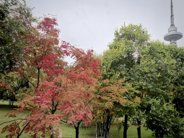 香爐山國家森林公園——哈爾濱周邊遊